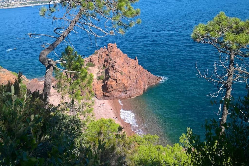 2 Pieces Climatise A 200M Des Plages Théoule-sur-Mer Екстериор снимка