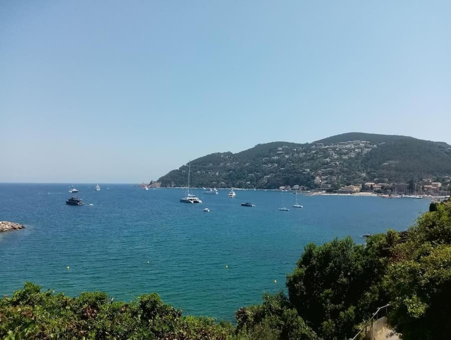 2 Pieces Climatise A 200M Des Plages Théoule-sur-Mer Екстериор снимка